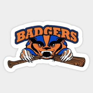 Badgers Baseball Sticker